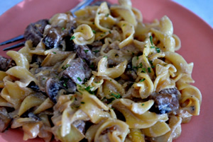 White plate containing beef stroganoff with German egg noodles