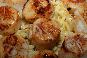 A bowl of egg noodles with jumbo sea scallops